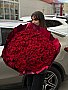 101 красная роза